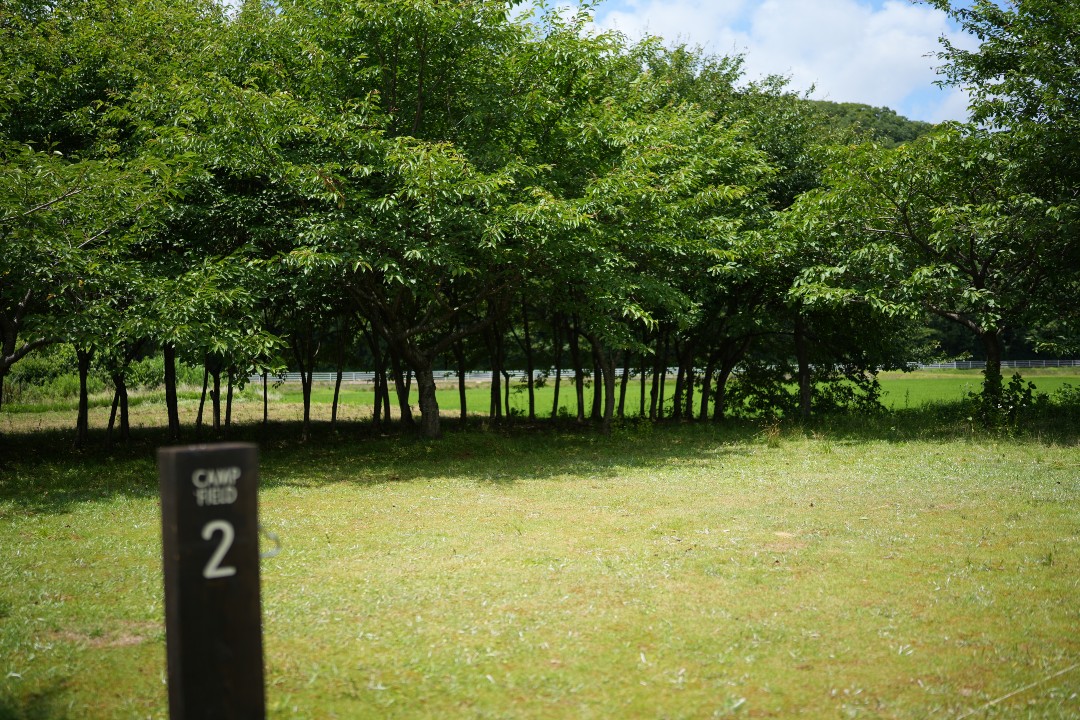 道の駅 SORAIRO国上 CAMP FIELD