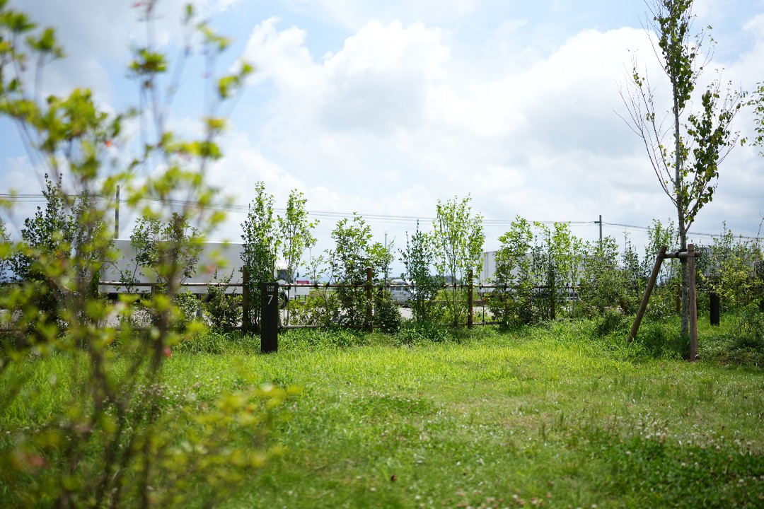 道の駅 SORAIRO国上 CAMP FIELD