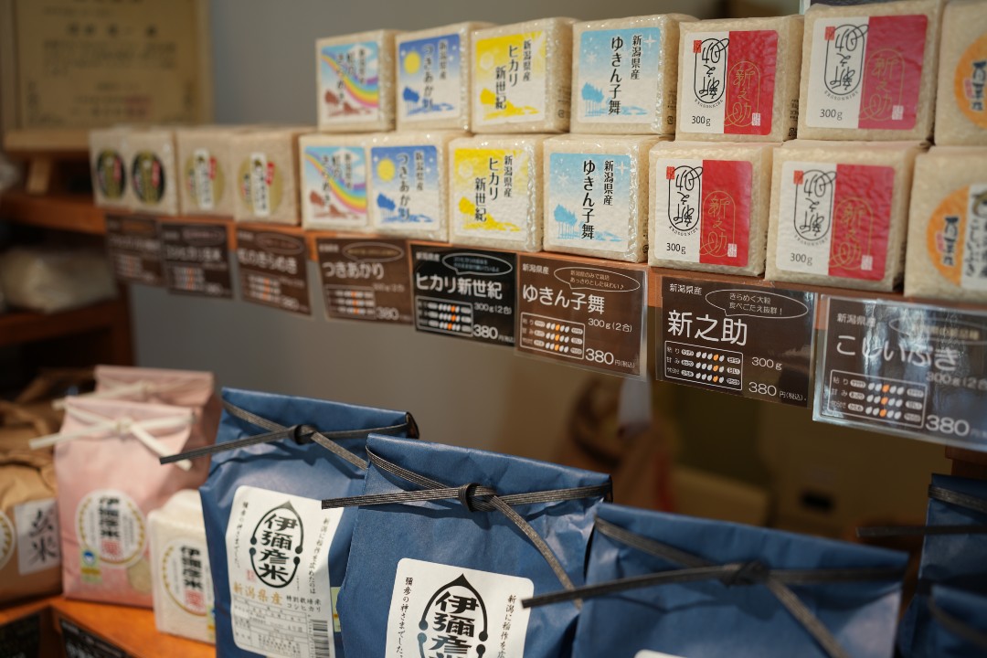 道の駅 SORAIRO国上 CAMP FIELD