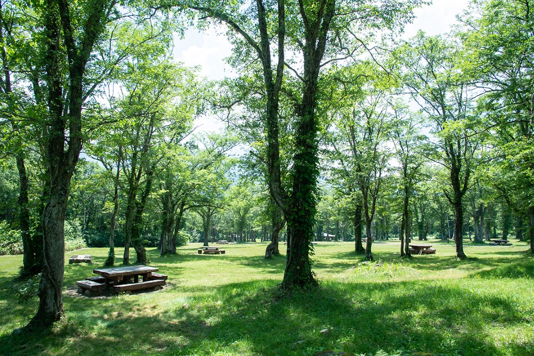 笹ヶ峰キャンプ場