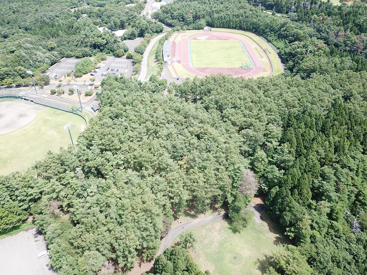 美山キャンプ場 場内見取り図