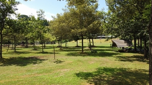 長岡市大杉公園