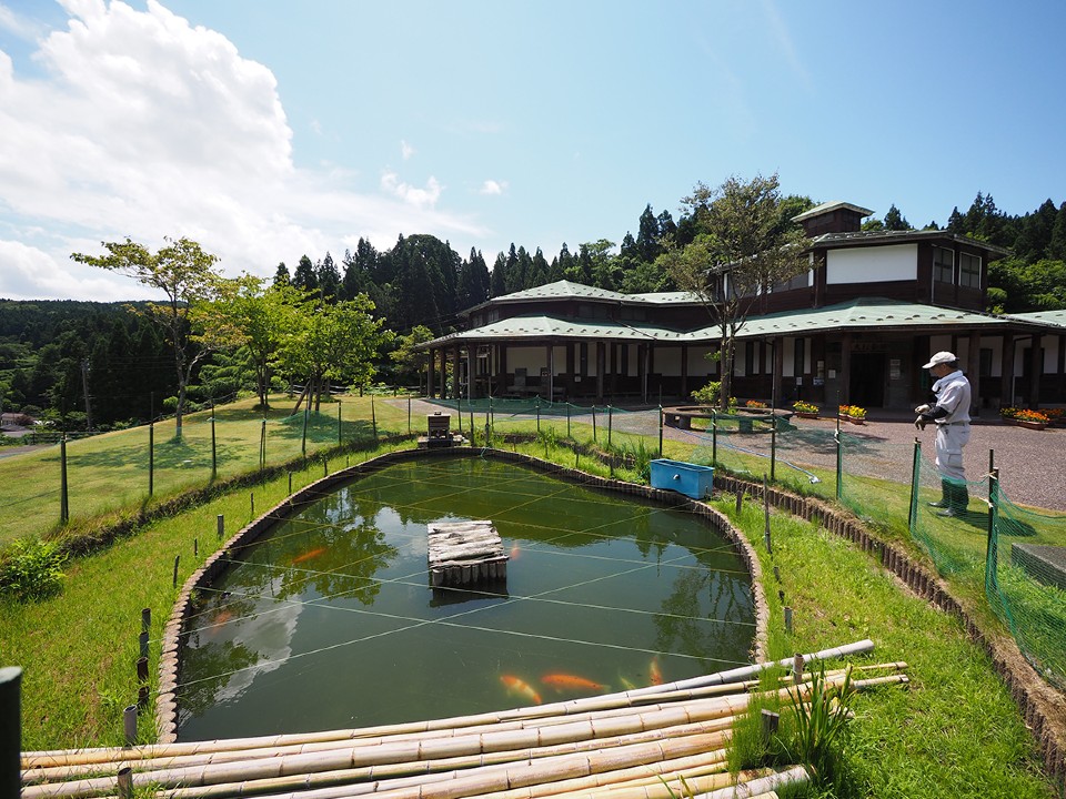 長岡市大杉公園