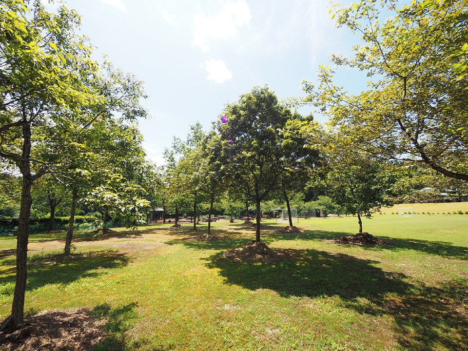 長岡市大杉公園