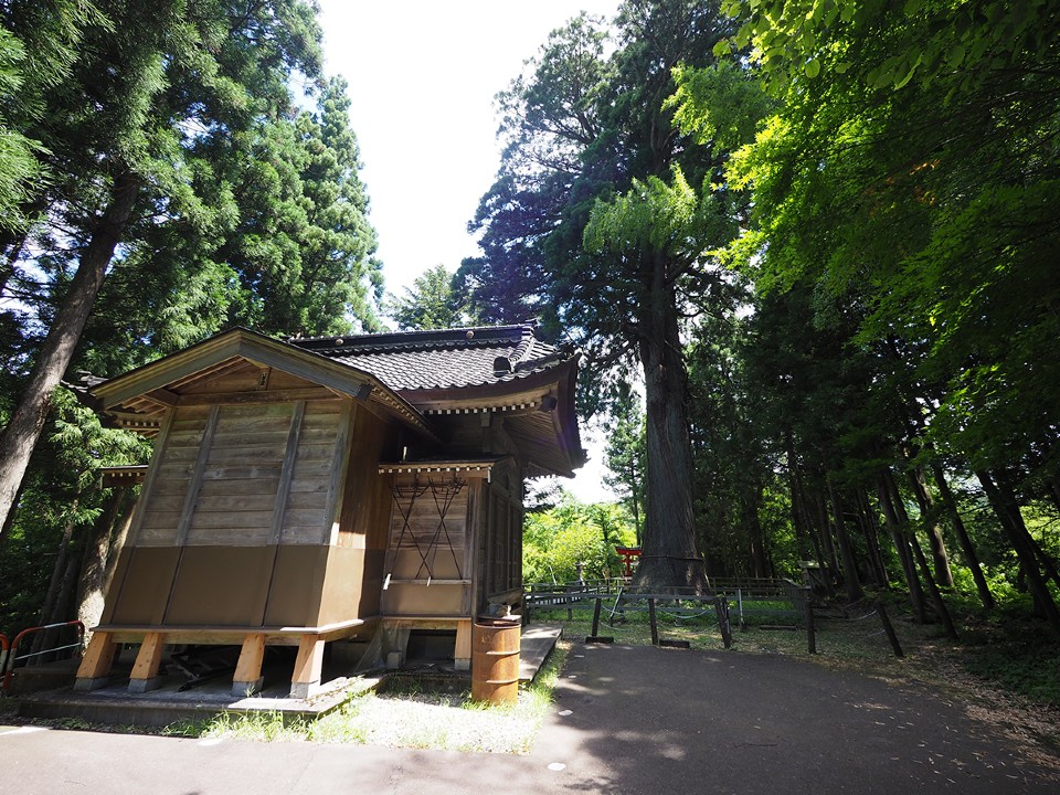 長岡市大杉公園