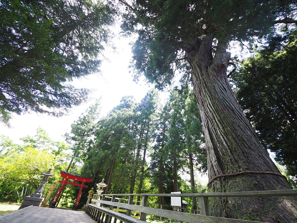 長岡市大杉公園