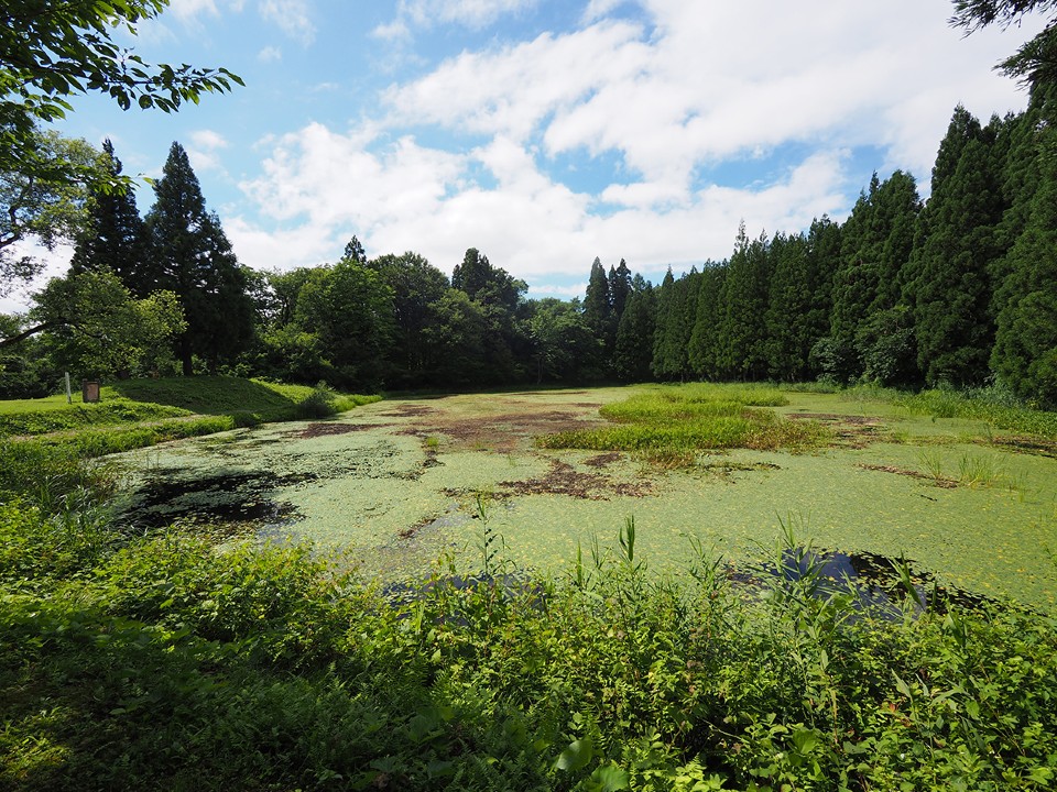 重池大池自然観察公園