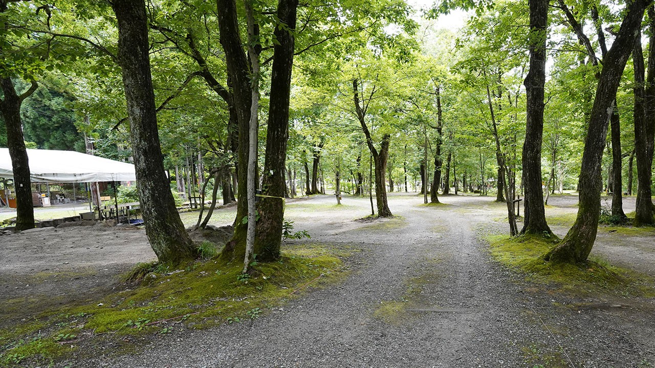 五十沢キャンプ場