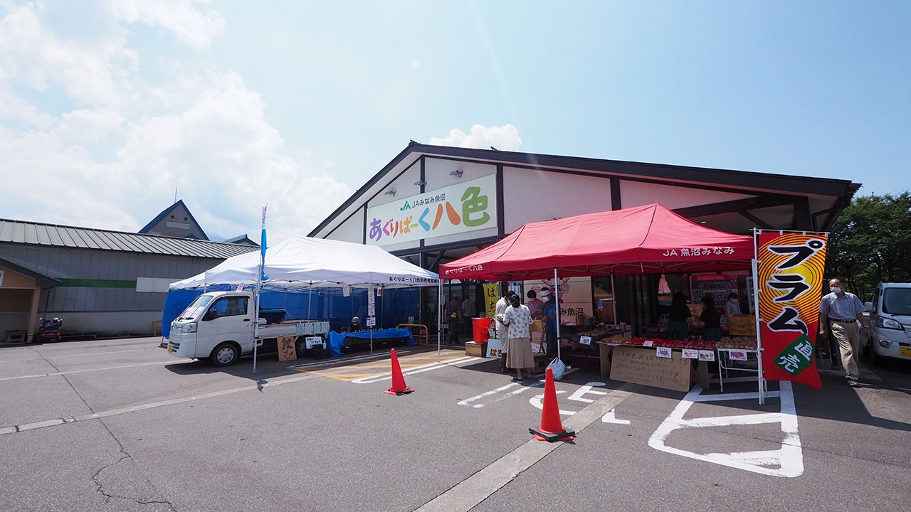 五十沢キャンプ場