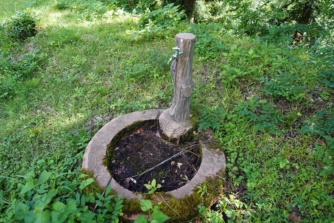 大崎ダム公園キャンプ場