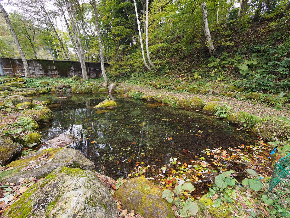 苗場高原オートキャンプ場