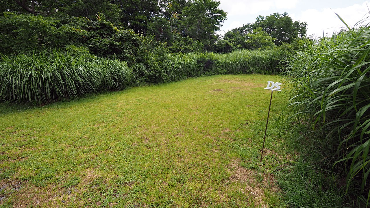 無印良品津南キャンプ場