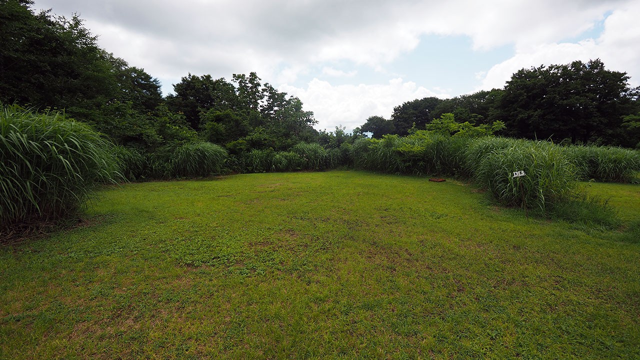 無印良品津南キャンプ場