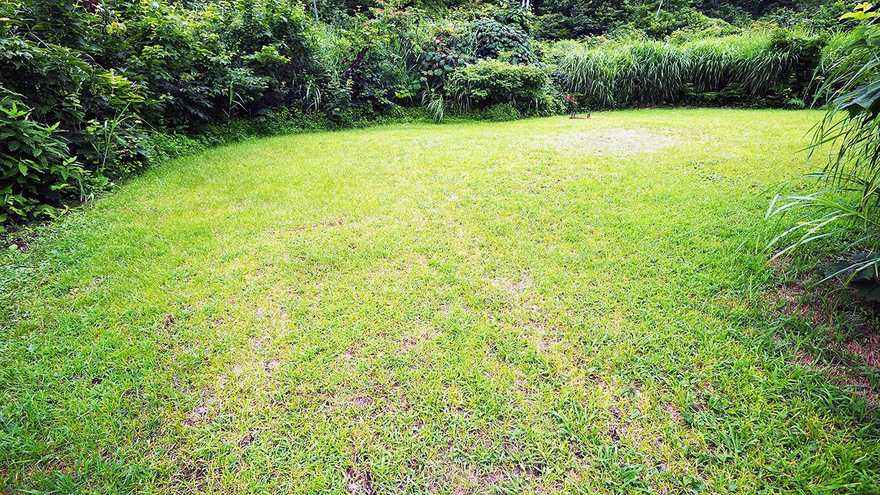 無印良品津南キャンプ場