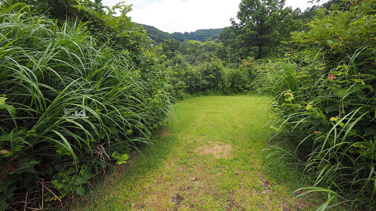 無印良品津南キャンプ場