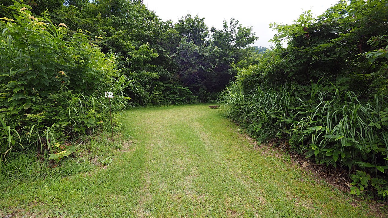 無印良品津南キャンプ場