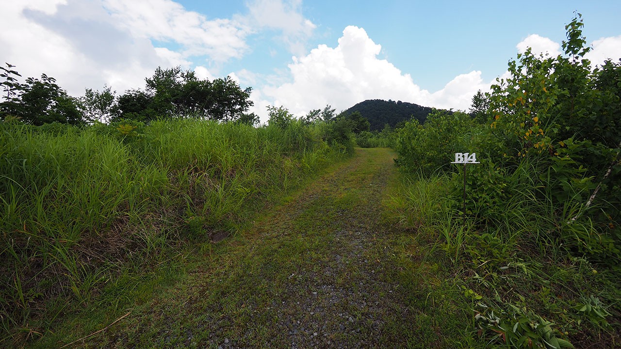 無印良品津南キャンプ場