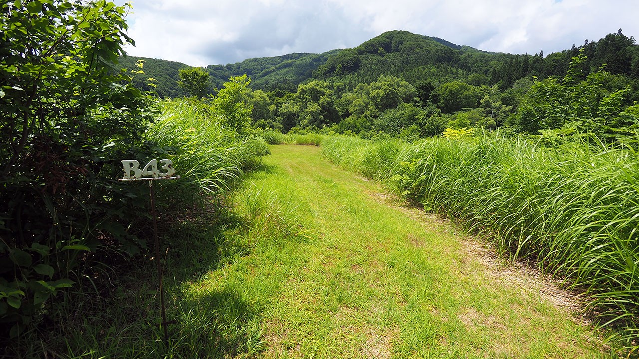 無印良品津南キャンプ場