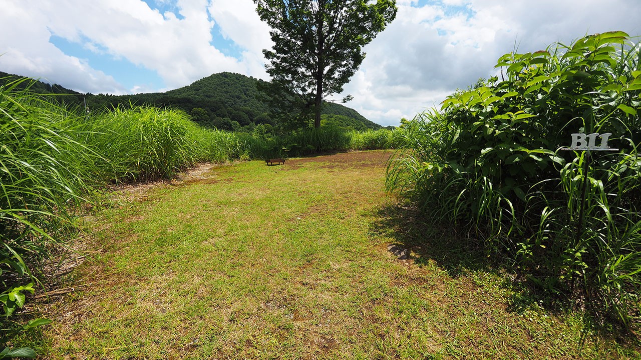 無印良品津南キャンプ場