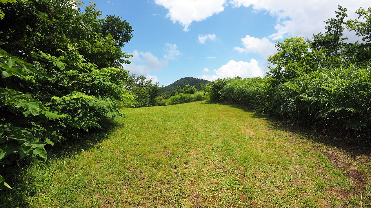 無印良品津南キャンプ場
