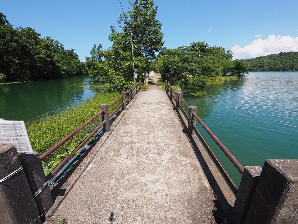 大池いこいの森キャンプ場