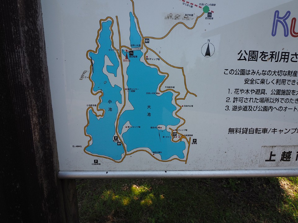 大池いこいの森キャンプ場