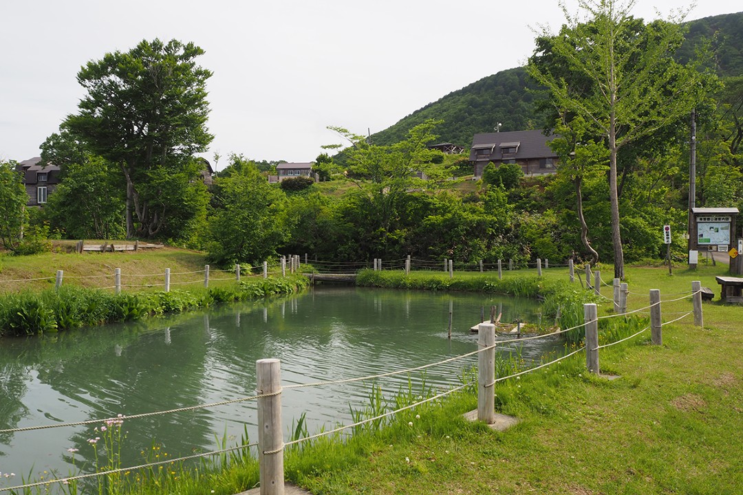 南葉高原キャンプ場