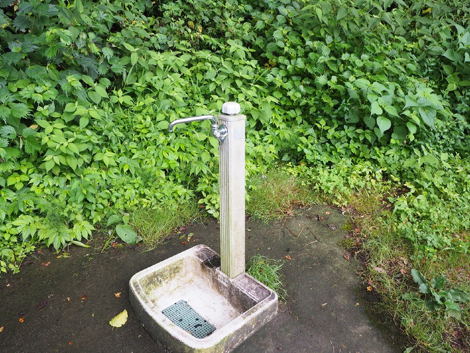 荒崎キャンプ場