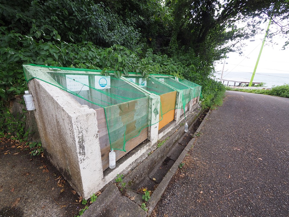 荒崎キャンプ場