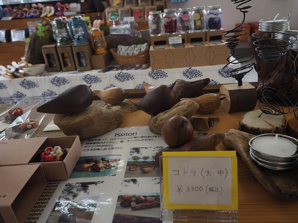 高浪の池キャンプ場