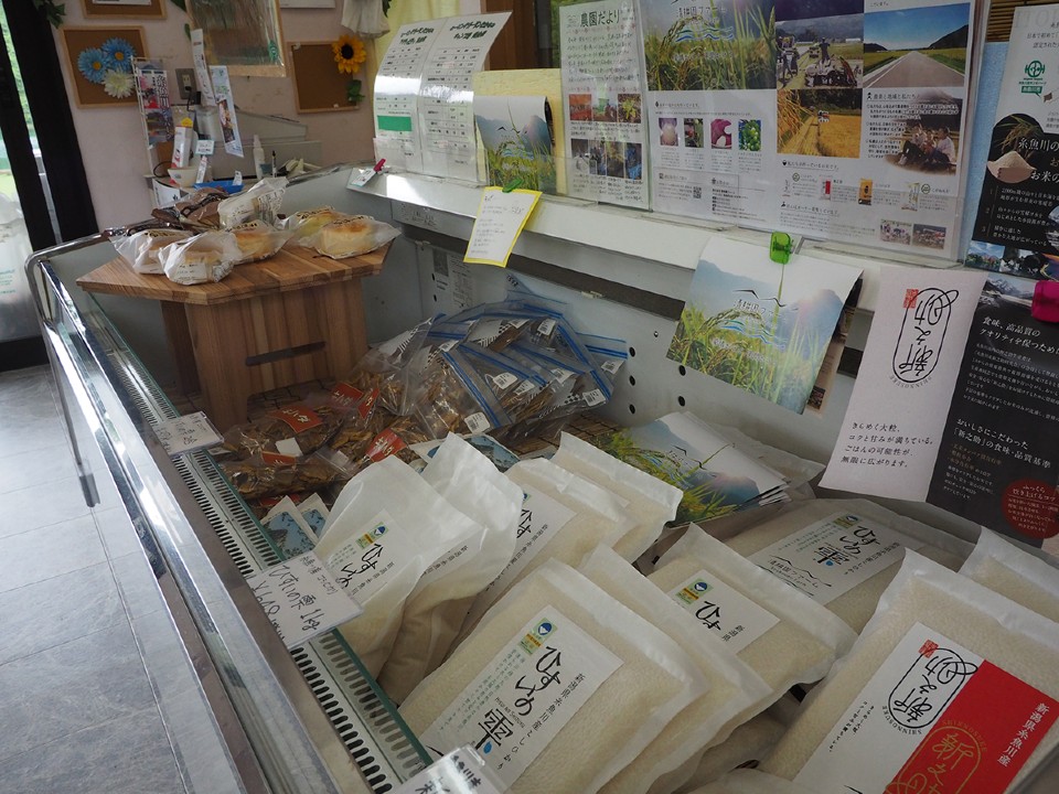 高浪の池キャンプ場