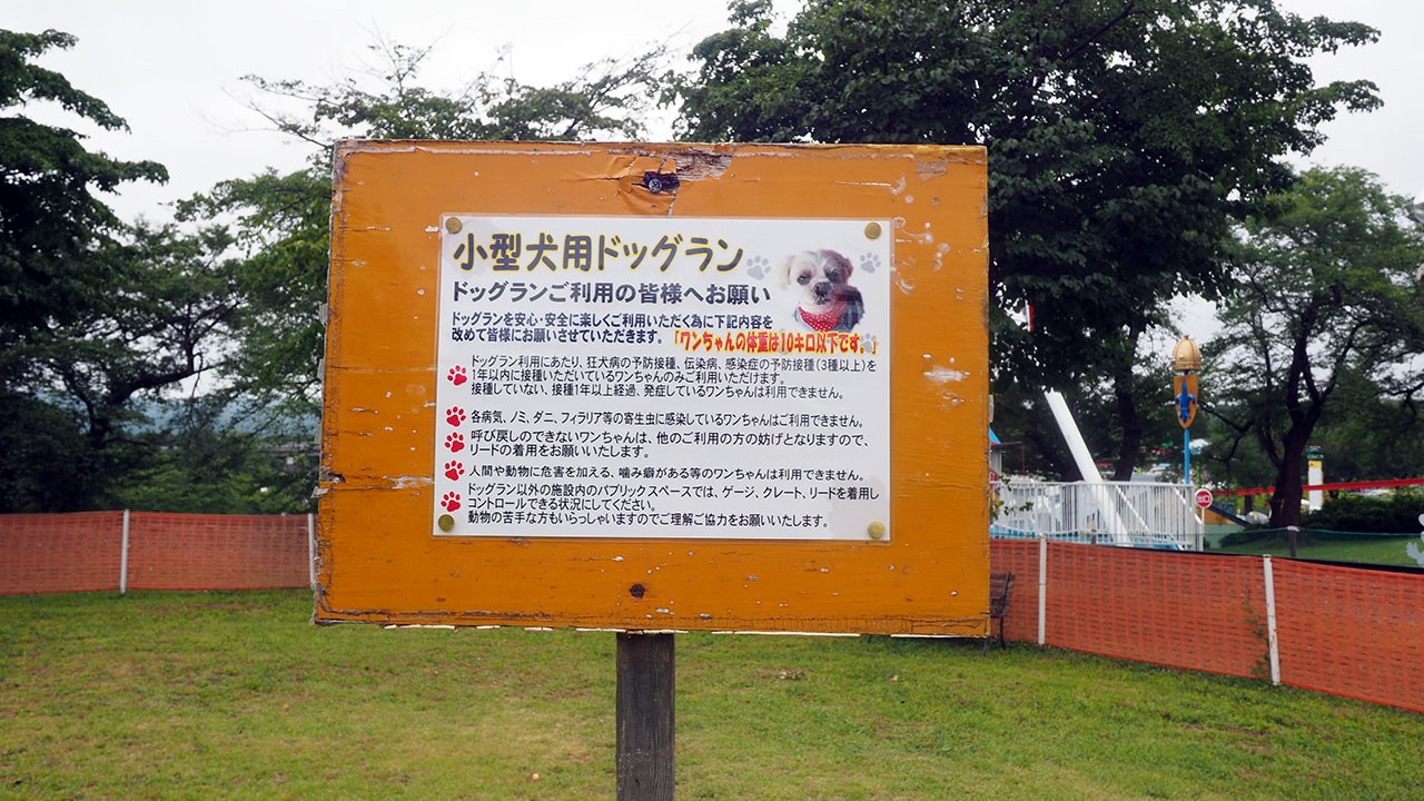 妙高サンシャインキャンプ