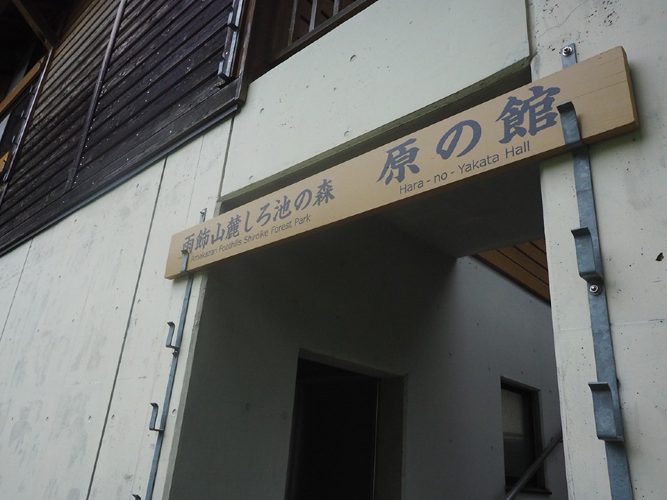 雨飾山麓しろ池の森