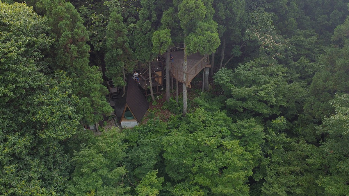 星峠宿 TREE CAMP