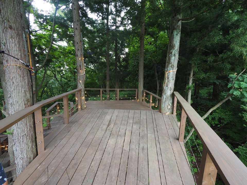 星峠宿 TREE CAMP