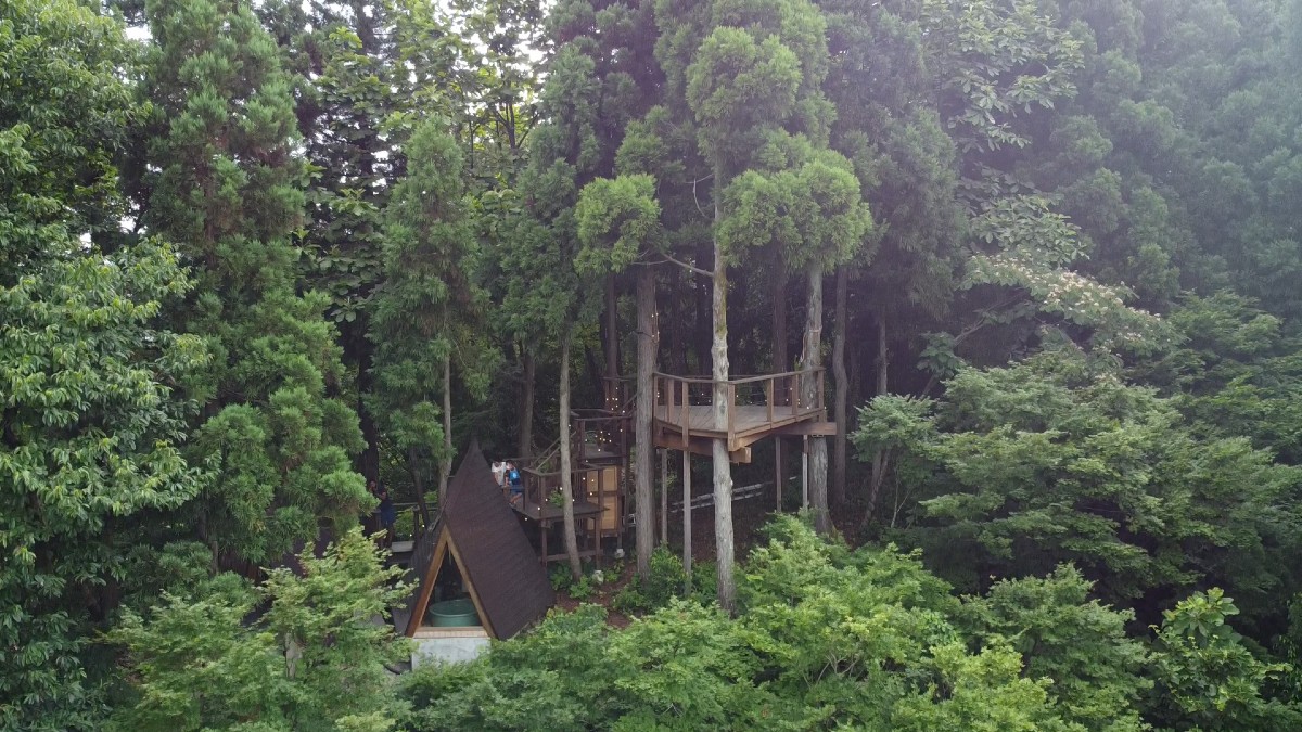 星峠宿 TREE CAMP 場内見取り図