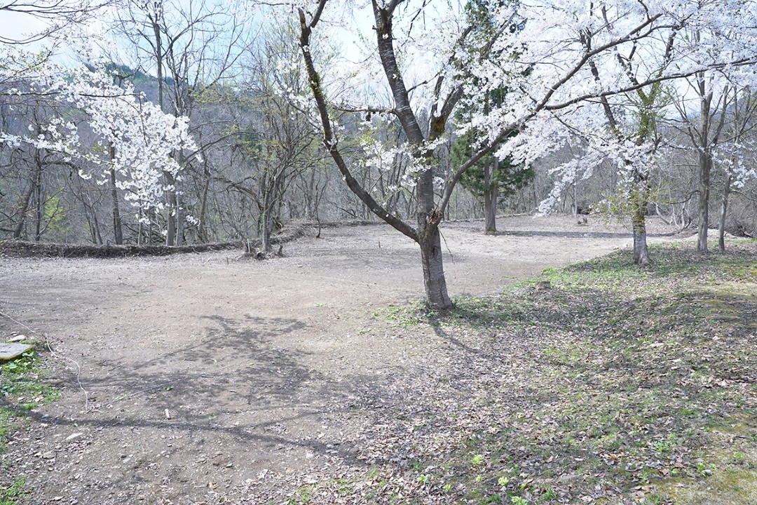 キャンプ庭 小会瀬の森
