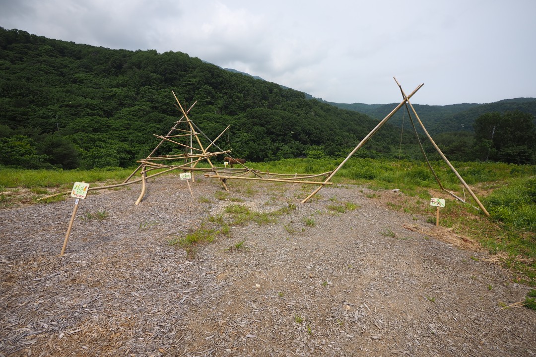 佐渡あてびキャンプ場