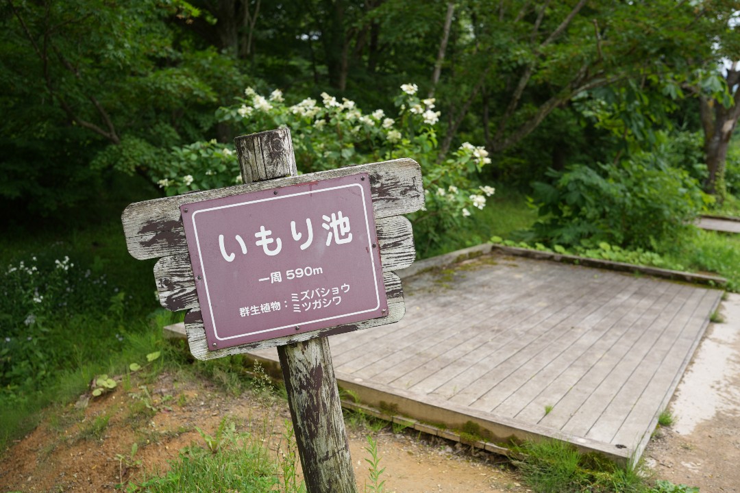 IMORI CAMPSITE ～いもりの森～